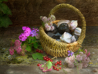 Red currant and garden flowers.