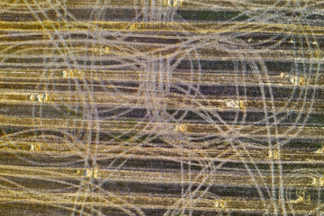 Farm field with tractor traces after harvest, views from above. Nature background. Top view