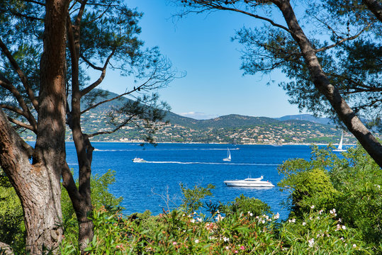 View of the bay with yachts. Overview of the neighborhood from the hill. Resort in the south of France, Saint-Tropez, France