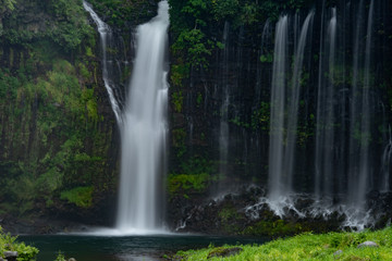 Fototapeta premium 白糸の滝