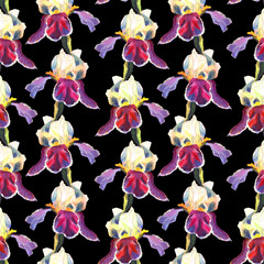 Fototapeta na wymiar Floral seamless pattern with oil painted irises on black background