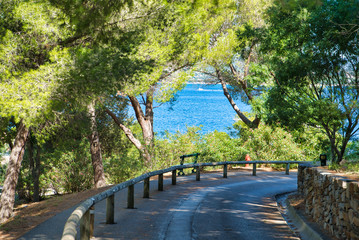Road to the sea, in the highlands along the green spaces. Yachts in the bay. Resort in the south of France, Saint-Tropez, France. Commune in southeastern France in the region of Provence, France
