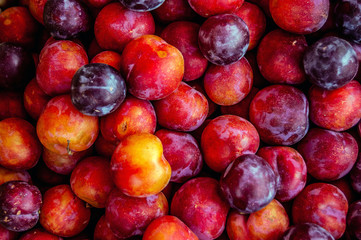 Plums on the counter of the store. Summer fruits.