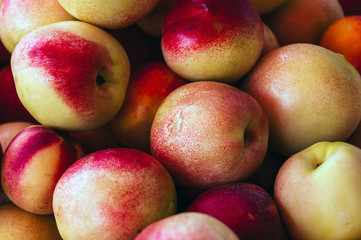 Delicate and tasty apricots, they are full of vitamins and a positive summer charge.