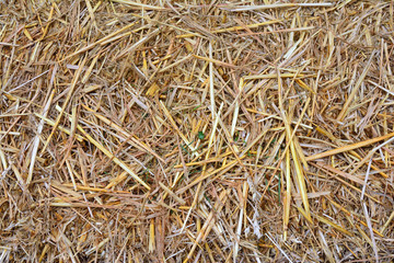Background closeup shot of a bale of straw