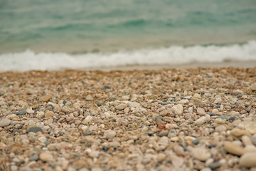 Fototapeta na wymiar sea background. The sandy beach with shells and a wave
