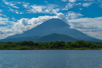 Fototapeta premium 精進湖からの夏の富士山