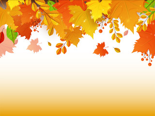Naklejka na ściany i meble Colorful autumn leaves abstract pattern decorated background with space for your message.