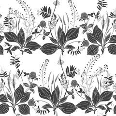 Seamless vector pattern with wildflowers and wildherbs on a white background. Grass mouse peas with flowers, plantain and shepherd's purse, clover. Silhouettes.
