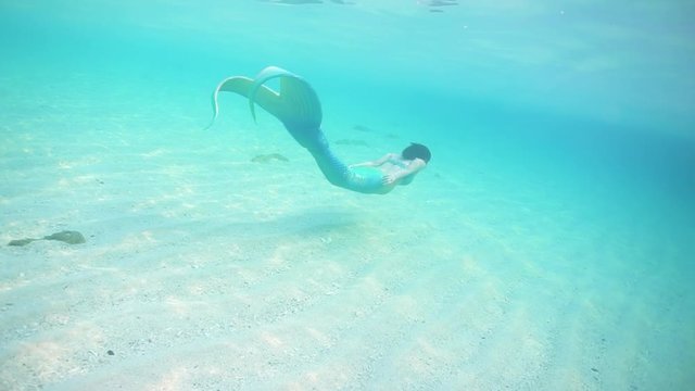 水中を泳ぐ人魚