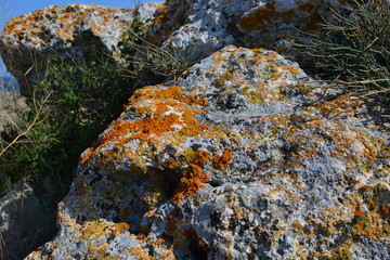 background texture stone rock relief