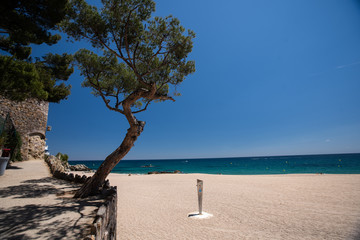 Mediterranean coast in summer