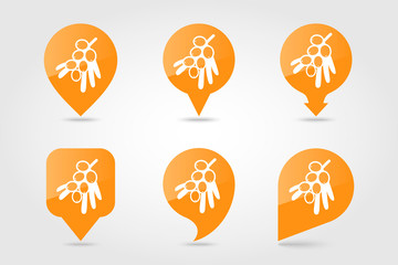 Branch of sea-buckthorn berries pin map icon