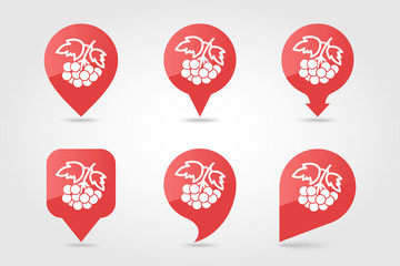 Rowan branch pin map icon. Rowan berry fruit sign
