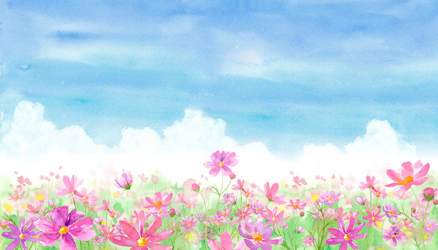青い空とコスモス畑の風景 水彩イラスト Stock Illustration Adobe Stock 青い空とコスモス畑の風景 水彩イラスト Stock Illustration Adobe Stock