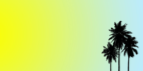 Abstract summer tropical backgrounds set with coconut. Colorful palm trees illustration pattern yellow and blue background.