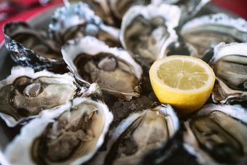 French fresh Oysters in a plate close-up