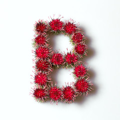 A letter from a flower to compose words in design.