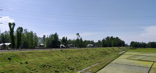 Farming Land of Jammu and Kashmir, India.