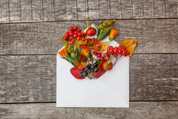 Autumn floral composition. Plants viburnum rowan berries dogrose fresh flowers colorful leaves in mail envelope on wooden background. Fall natural plants ecology wallpaper concept. Flat lay top view