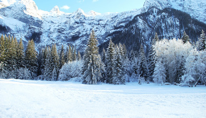 winter landscape with trees and snow