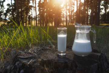 Jug and glass with milk on the grass against a backdrop of picturesque green meadows with flowers at sunset summer day. Fresh organic food.