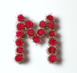 The letter of the colors. This is only one letter from the whole alphabet of them can make any word.