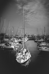 A yacht returning to its berth in Ramsgate Royal Harbour.