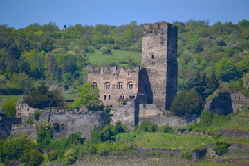 Gutenfels Castle on the Rhine Rive