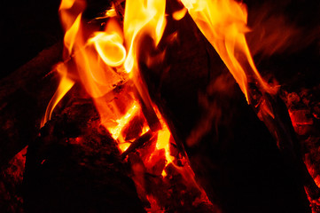 fire 