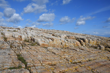 Skåne Küste an der Ostsee in Schweden vårhallen österlen	