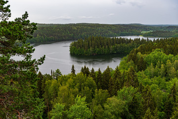 Fototapeta na wymiar Finnish forest landscape with lake on a rainy day