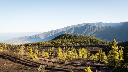 Naklejka premium Paysage de l'Île de La Palma aux Canaries, Espagne