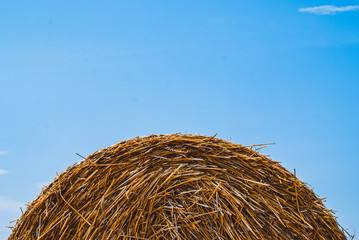 bale of straw in the field