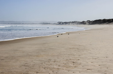 Beautiful beach in Portugal