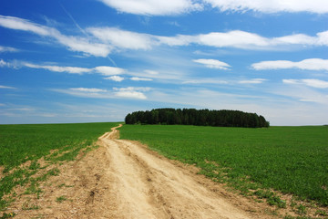 Country dirt road in the field