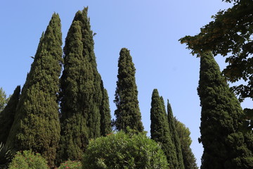 Italie - Sirmione - Parc Arena Callas - Ifs très grands