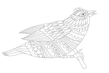 quick bird sitting on a bough for your coloring page