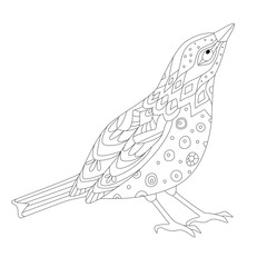 curious bird for your coloring page