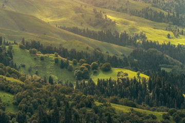  alpine meadows in the Caucasus mountains