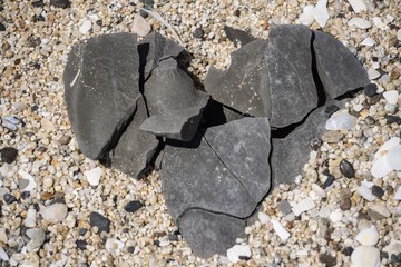 Summer love in California