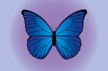 Beautiful and colorful blue butterfly vector illustration. Butterfly silhouette vector.