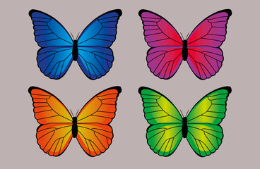 Fototapeta na wymiar colorful butterflies vector illustration set.