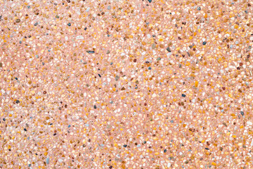 background of sea shells
