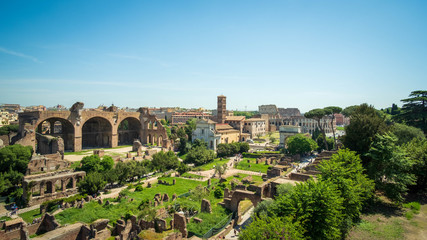 Fototapeta na wymiar Roma Rome Forum Romain Foro Romano panorama panoramique 
