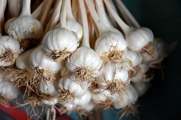 garlic on a wooden background