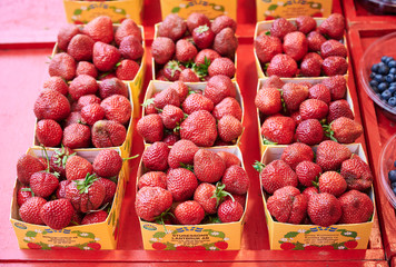 Strawberries are for sale in Hötorget's square store