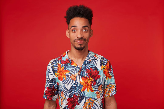 Young African American man wears in Hawaiian shirt, looks at the camera and calm smiling, stands over red background.