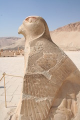 Eagle statue outside the Temple of Hatshepsut,  Egypt 
