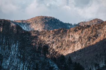 Fototapeta na wymiar Beautiful winter landscape with snow covered trees, alps mountain, Japan